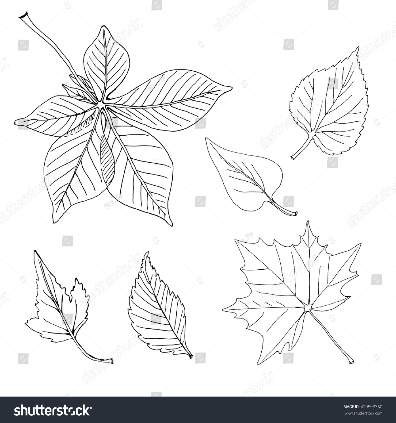 Simple Organic Shapes Collection Doodle Leaves Stock Vector (Royalty ...