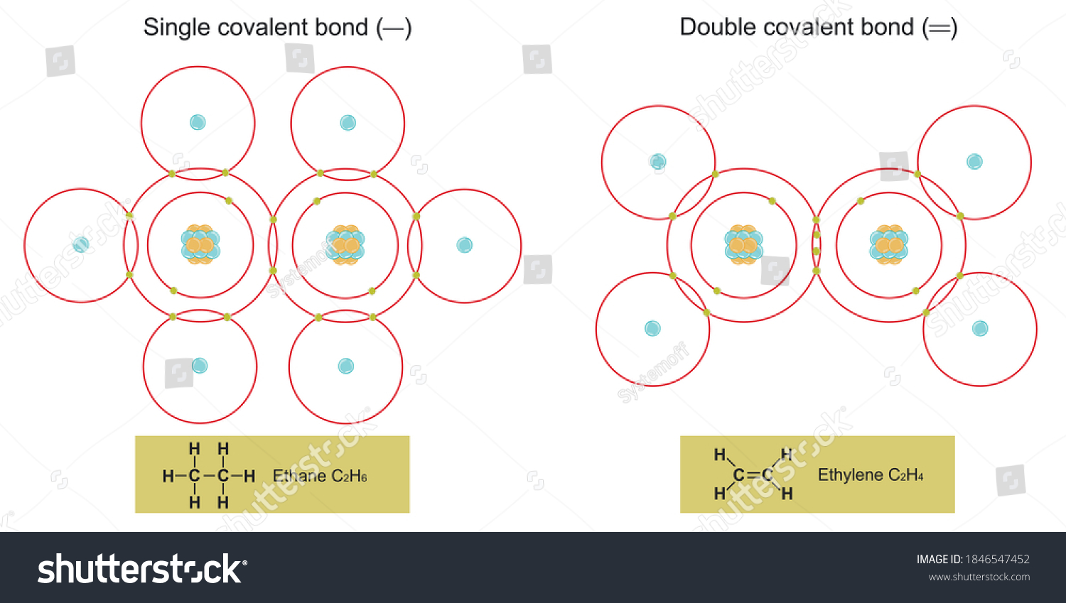 Single Double Covalent Bonds Stock Vector Royalty Free 1846547452 Shutterstock 