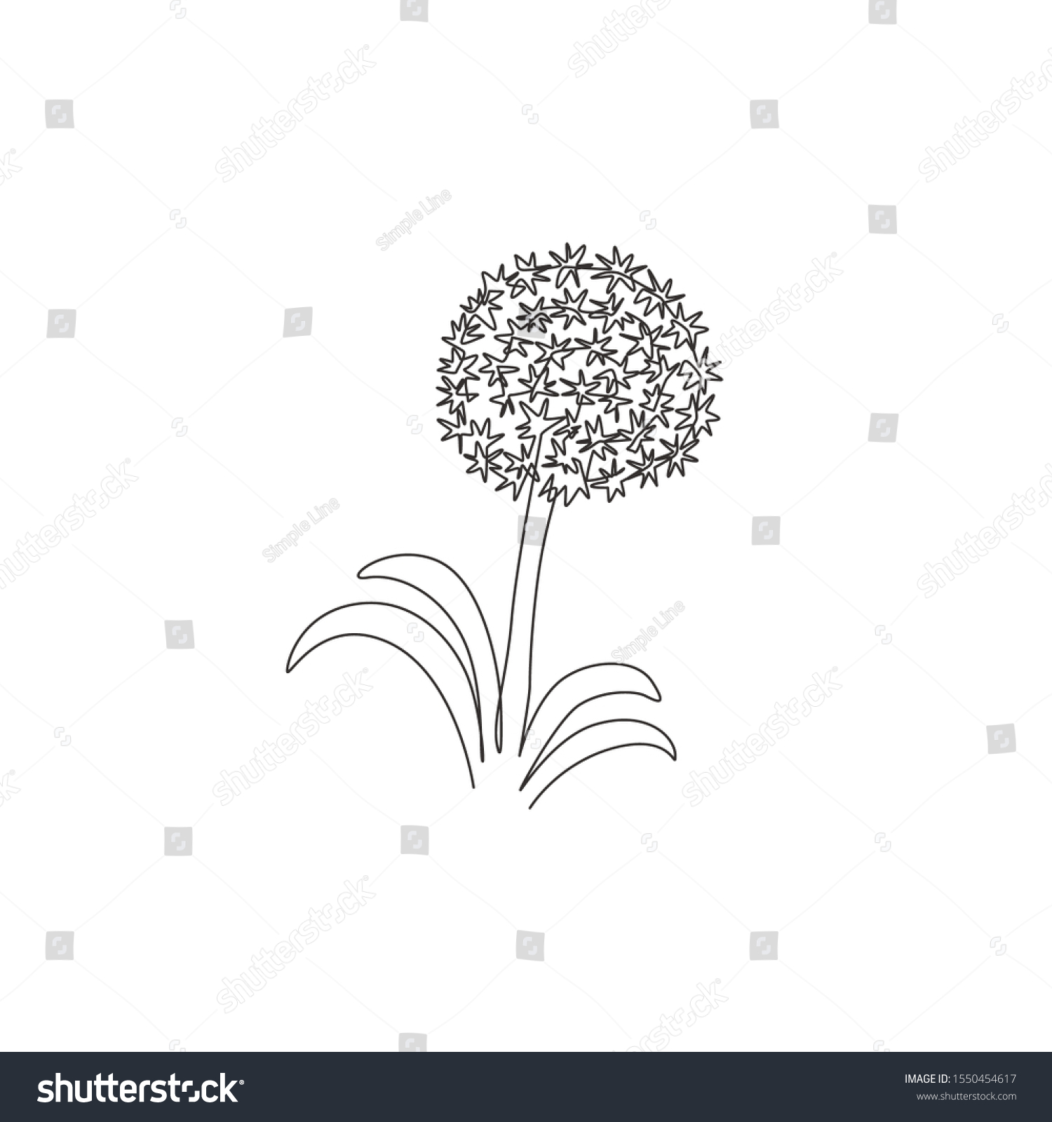 Single Continuous Line Drawing Beauty Fresh Stock Vector Royalty Free