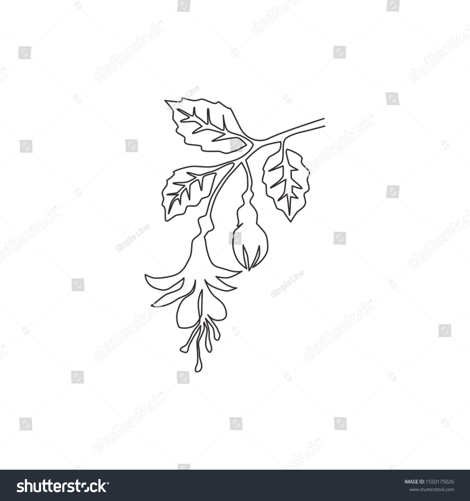 Single Continuous Line Drawing Beauty Fresh Vector De Stock Libre De