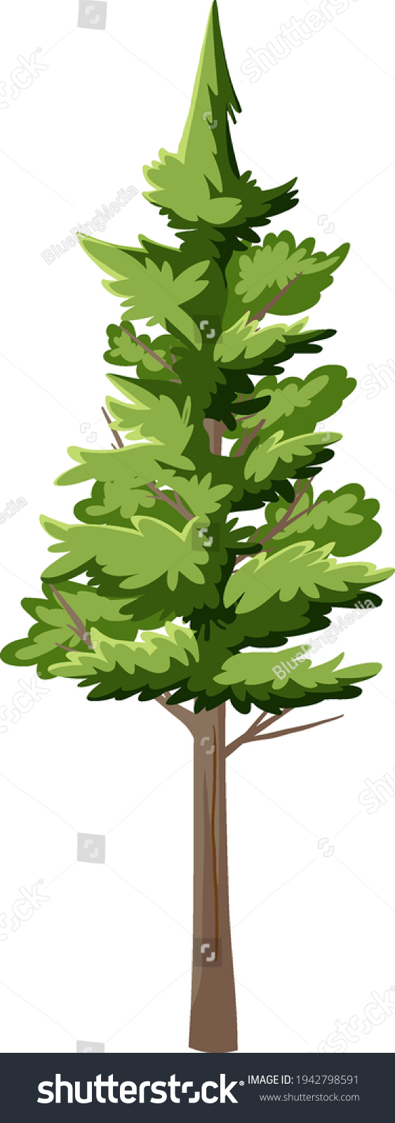 Single Rainforest Tree Isolated On White Stock Vector (Royalty Free ...