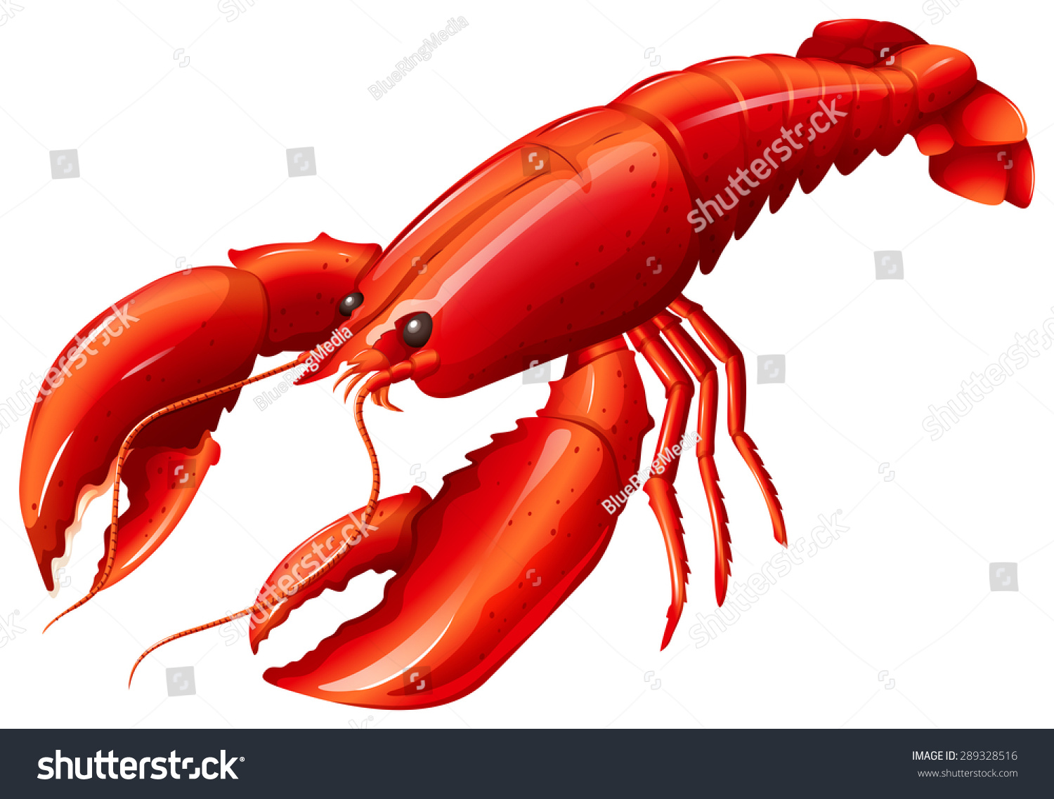 Single Red Lobster Two Claws Stock Vector 289328516 - Shutterstock