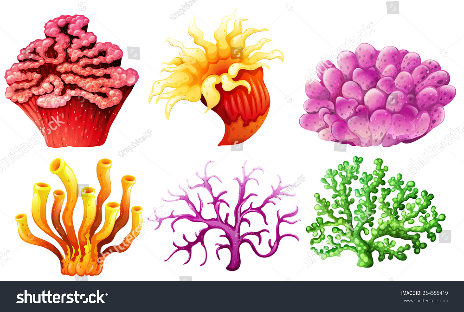 Six Different Types Coral Reef Stock Vector (Royalty Free) 264558419