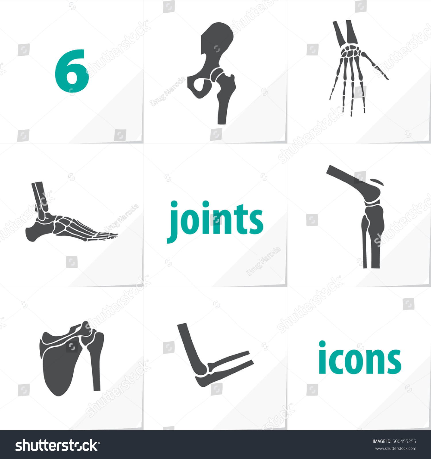 Six Human Joints Icons Ankle Elbow Stock Vector (Royalty Free) 500455255