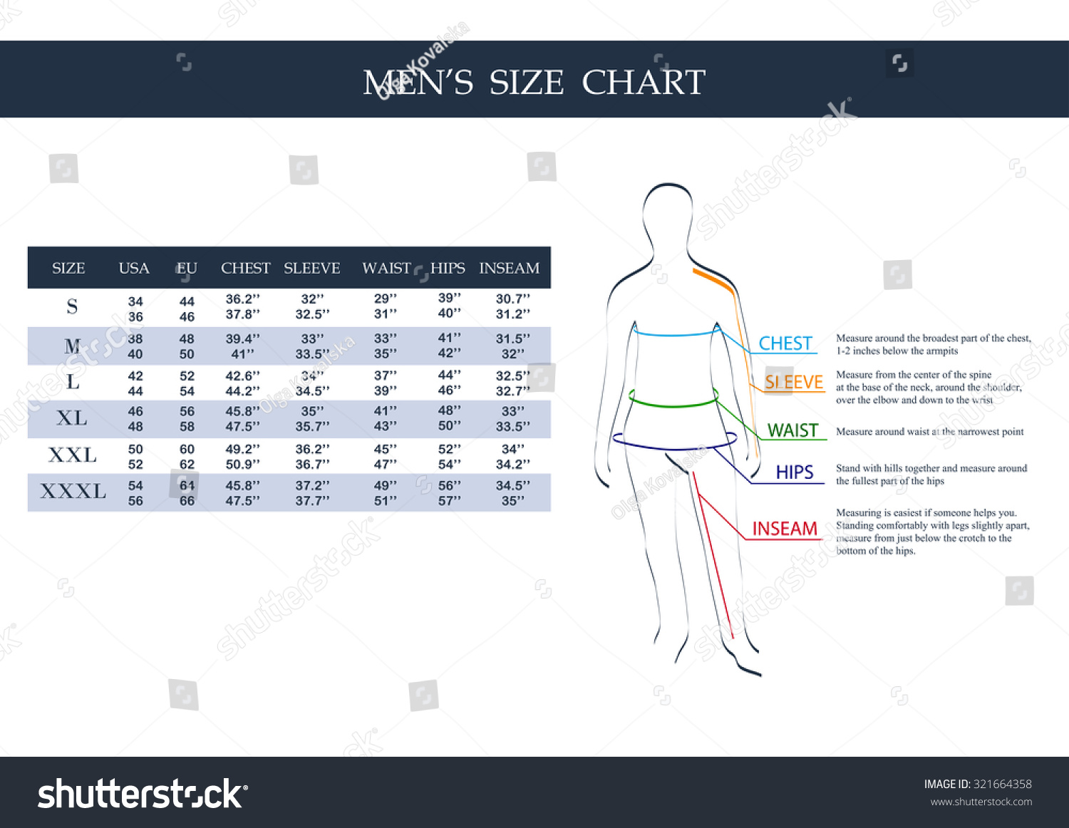 Size Chart Men Measurements Clothing Male Stock Vector 321664358 ...
