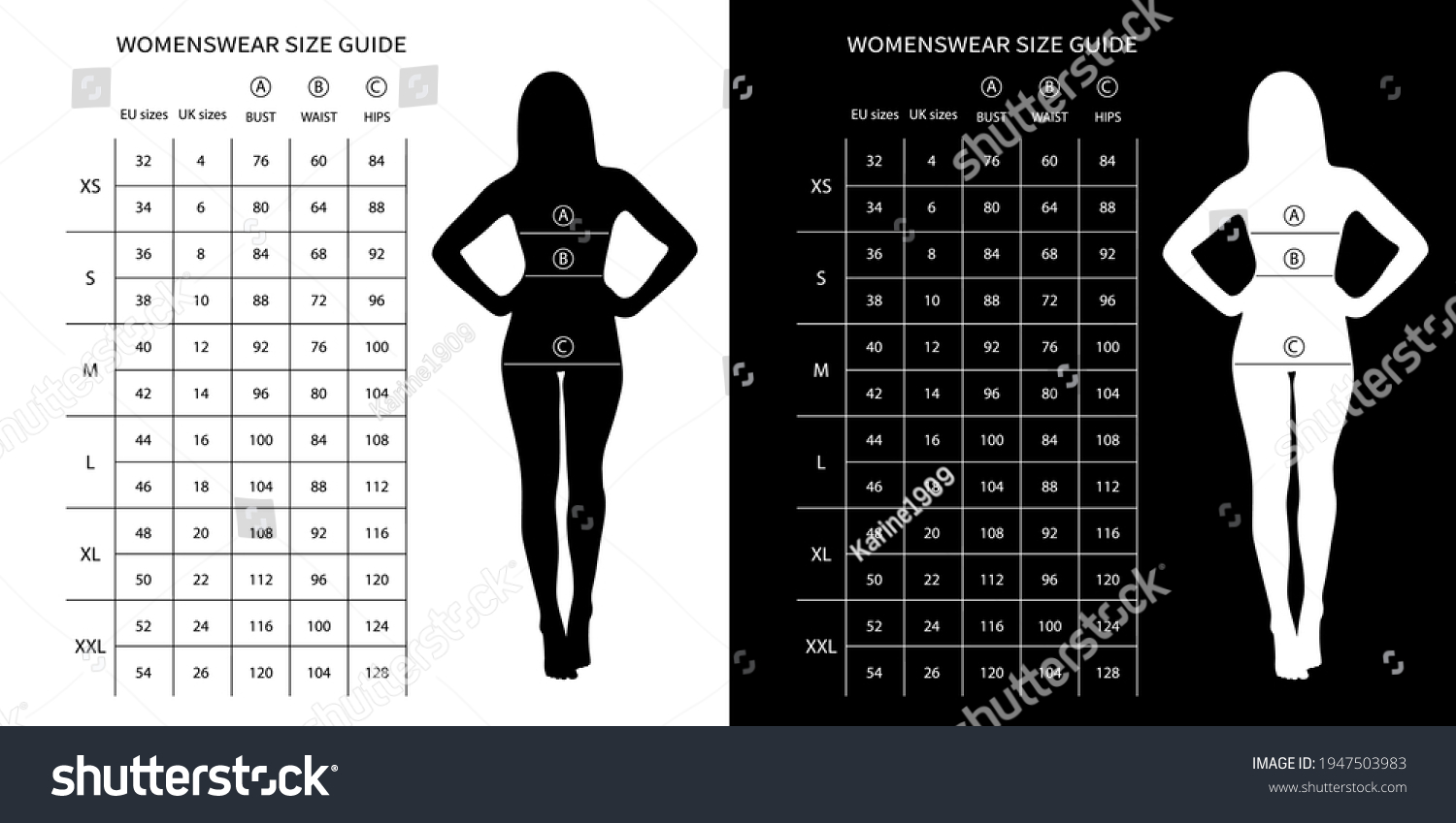 Size Chart Women Measurements Clothing Womens Stock Vector Royalty