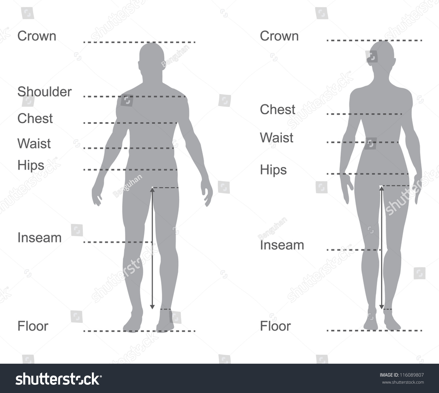 Hips male with female 