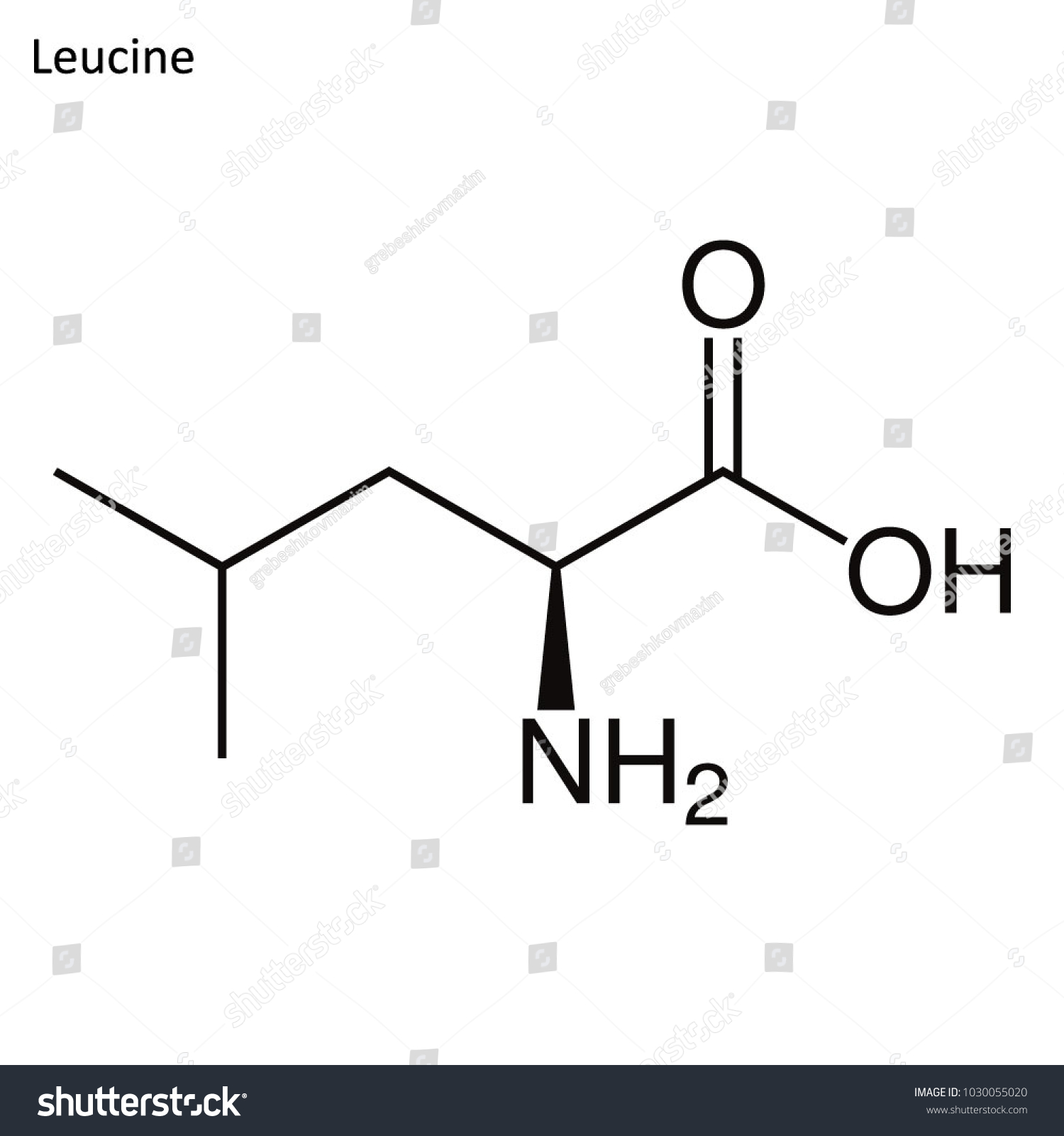 Skeletal Formula Leucine Amino Acid Molecule Stock Vector (Royalty Free ...