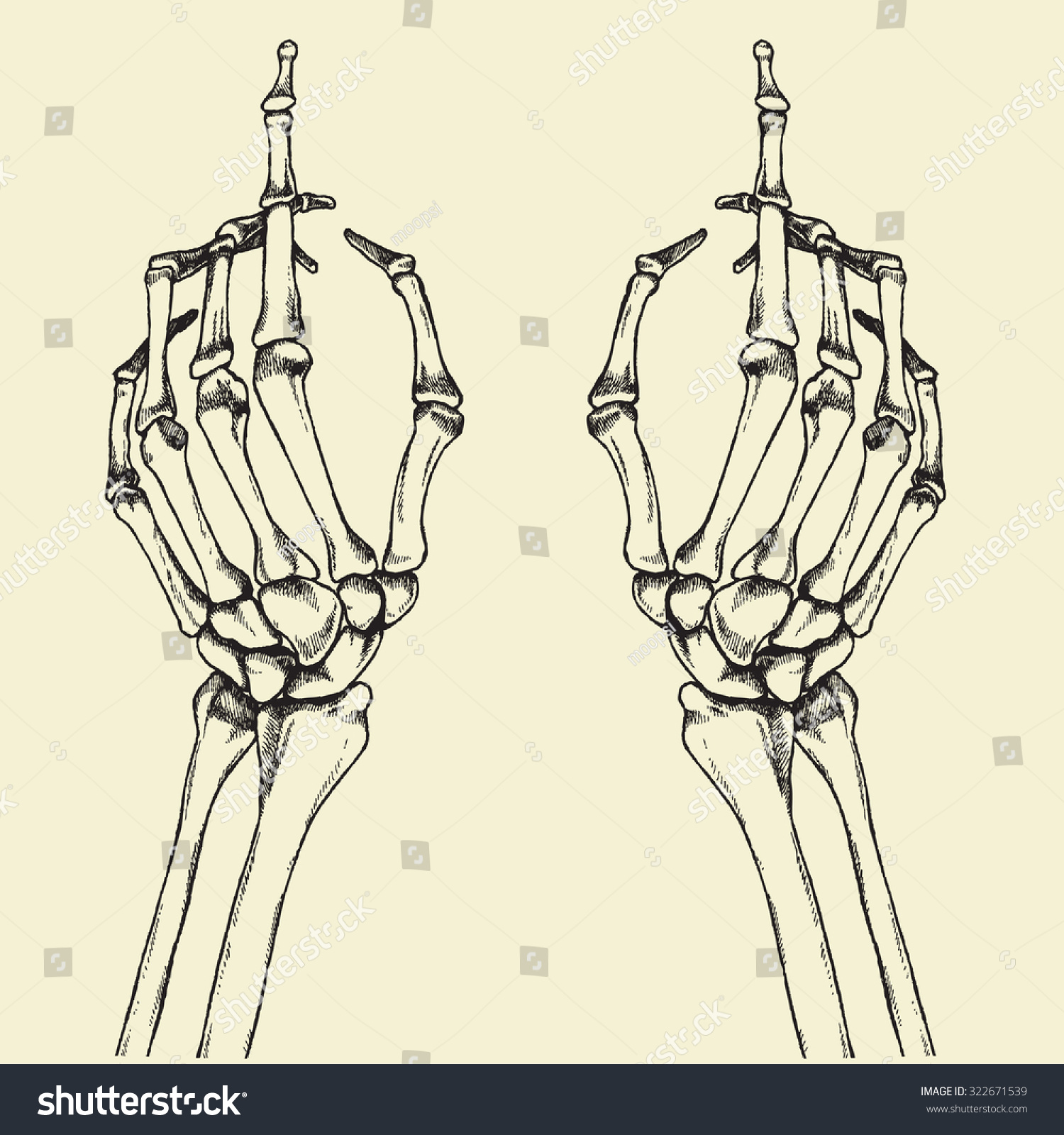 Skeleton Hand Drawing Middle Finger