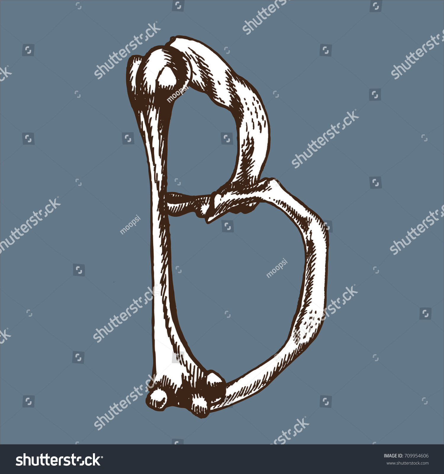 Skeleton Font Collection Letter B Made: เวกเตอร์สต็อก (ปลอดค่าลิขสิทธิ์ ...