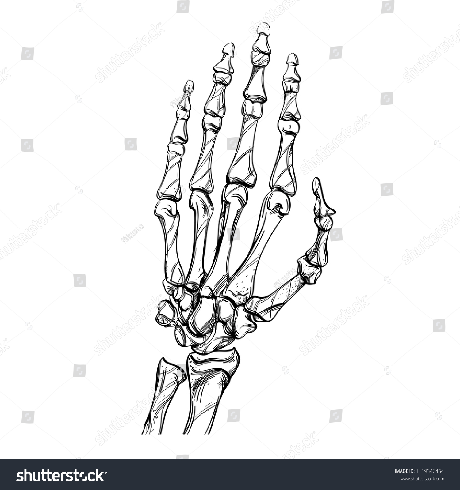 Skeleton Sketch Bones Hand Drawing Style Stock Vector Royalty Free