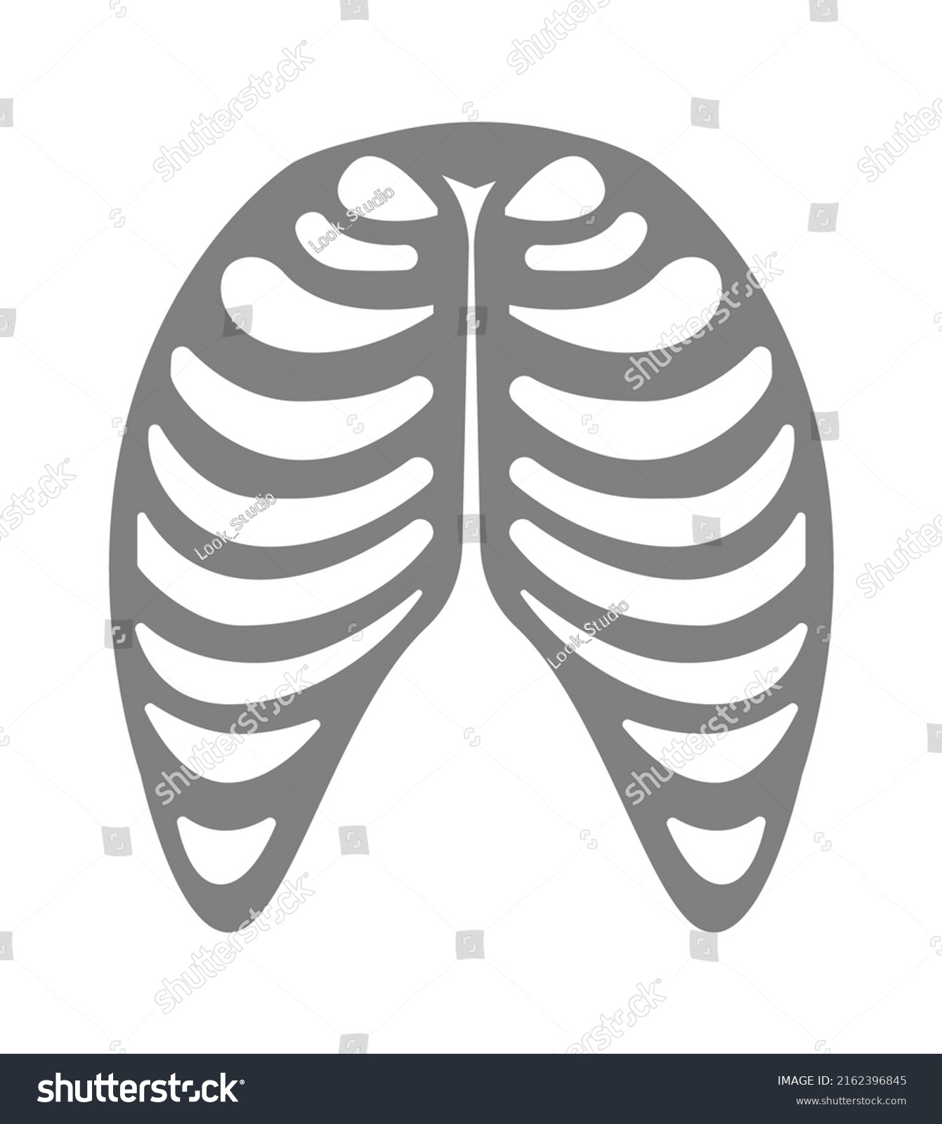 Skeleton Human Chest Vector Illustration Stock Vector (Royalty Free ...