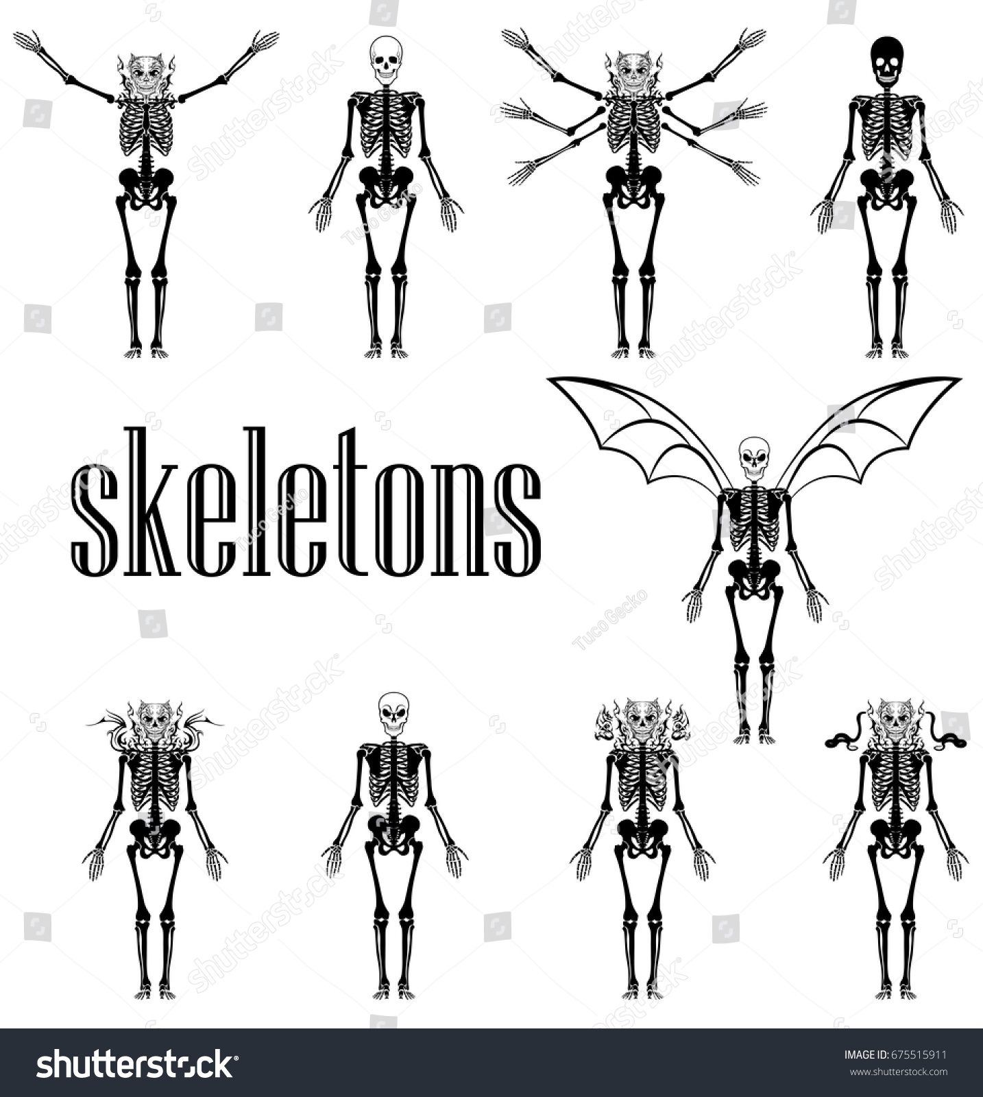 Skeletons Stock Vector 675515911 - Shutterstock
