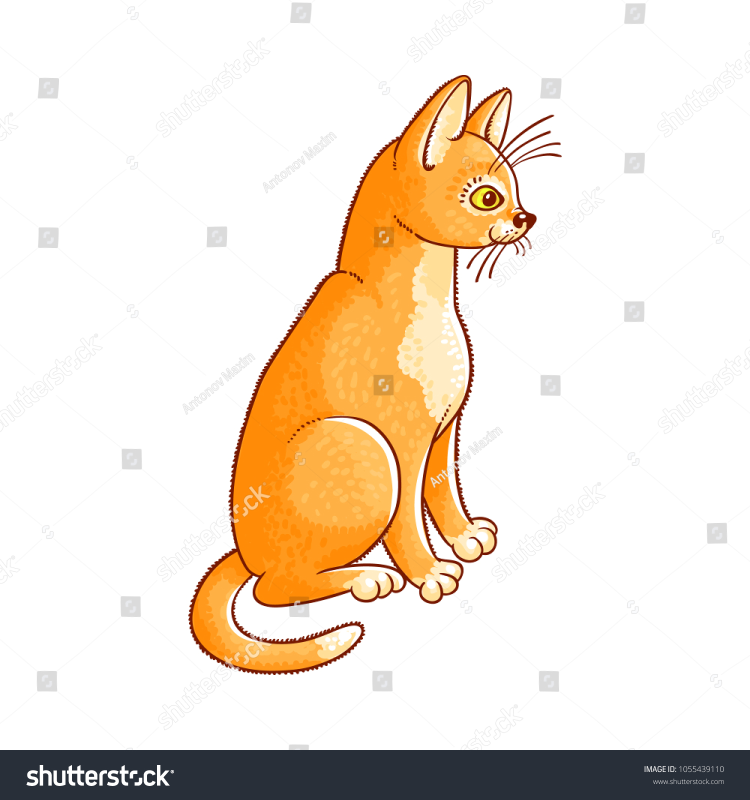 Featured image of post Cartoon Cat Drawing Side View 800 x 800 jpeg 17
