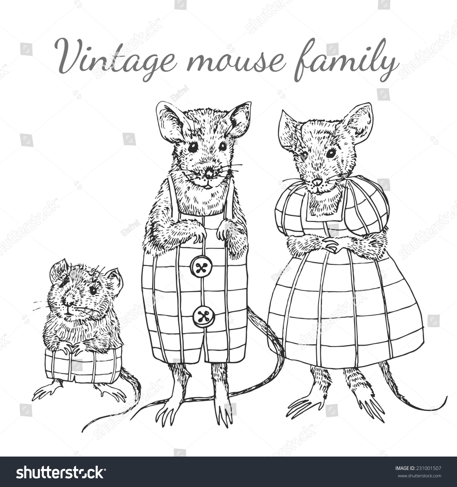 mouse family animals