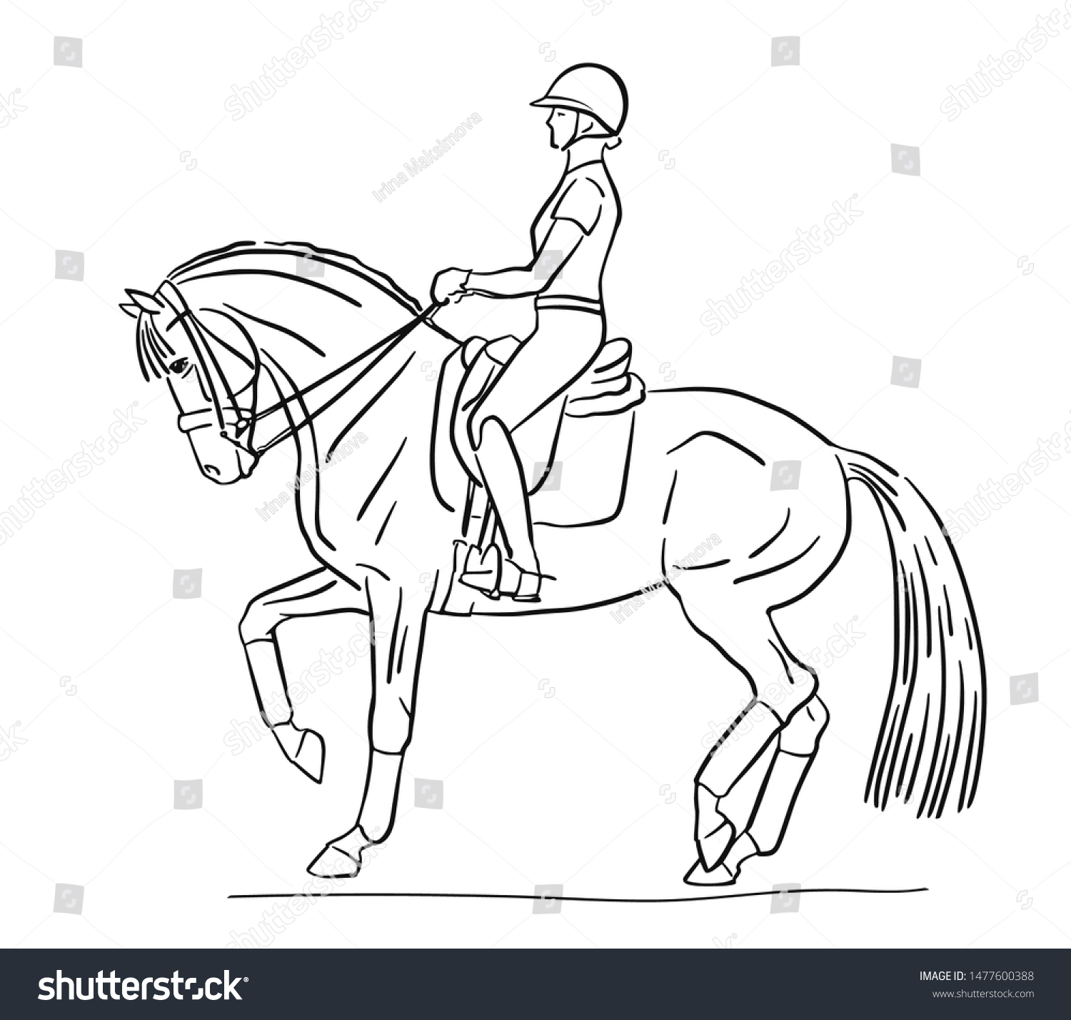 Sketch Rider Horse Execute Piaffe Stock Vector (Royalty Free ...