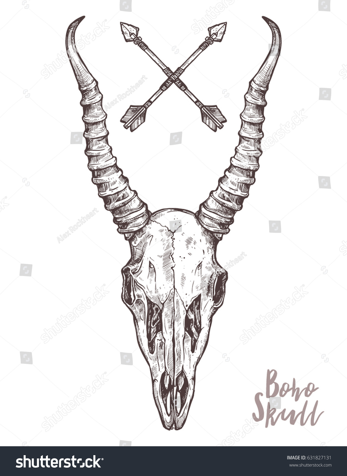 Sketch Antelope Skull Tribal Arrows Boho Stock Vector (Royalty Free