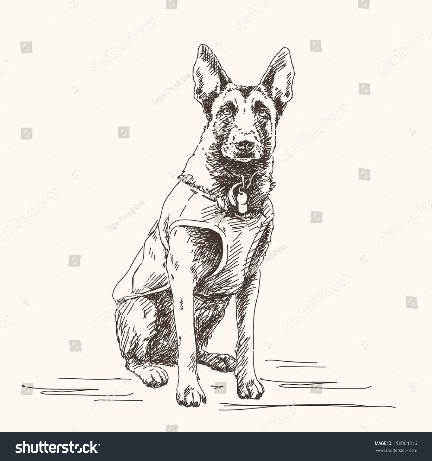 SVG of Sketch of Belgian Shepherd dog, Hand drawn illustration. svg