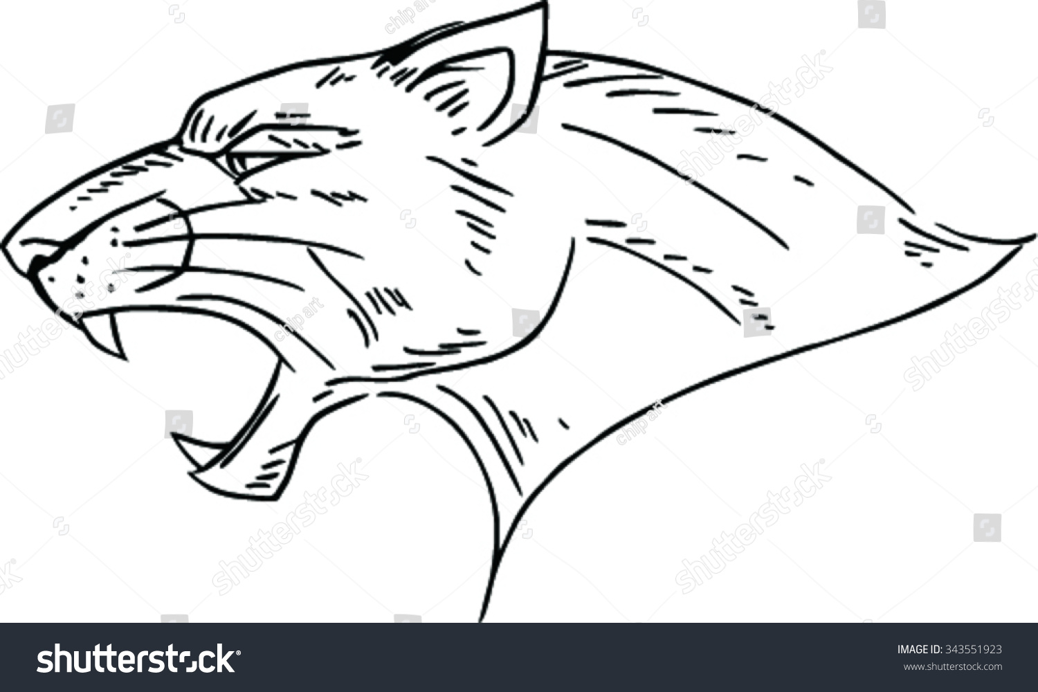 Sketch Black Panther Stock Vector (Royalty Free) 343551923 - Shutterstock