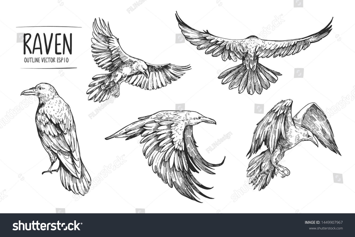 Sketch Flying Raven Hand Drawn Illustration Stock Vector Royalty Free 1449907967 Shutterstock 5279