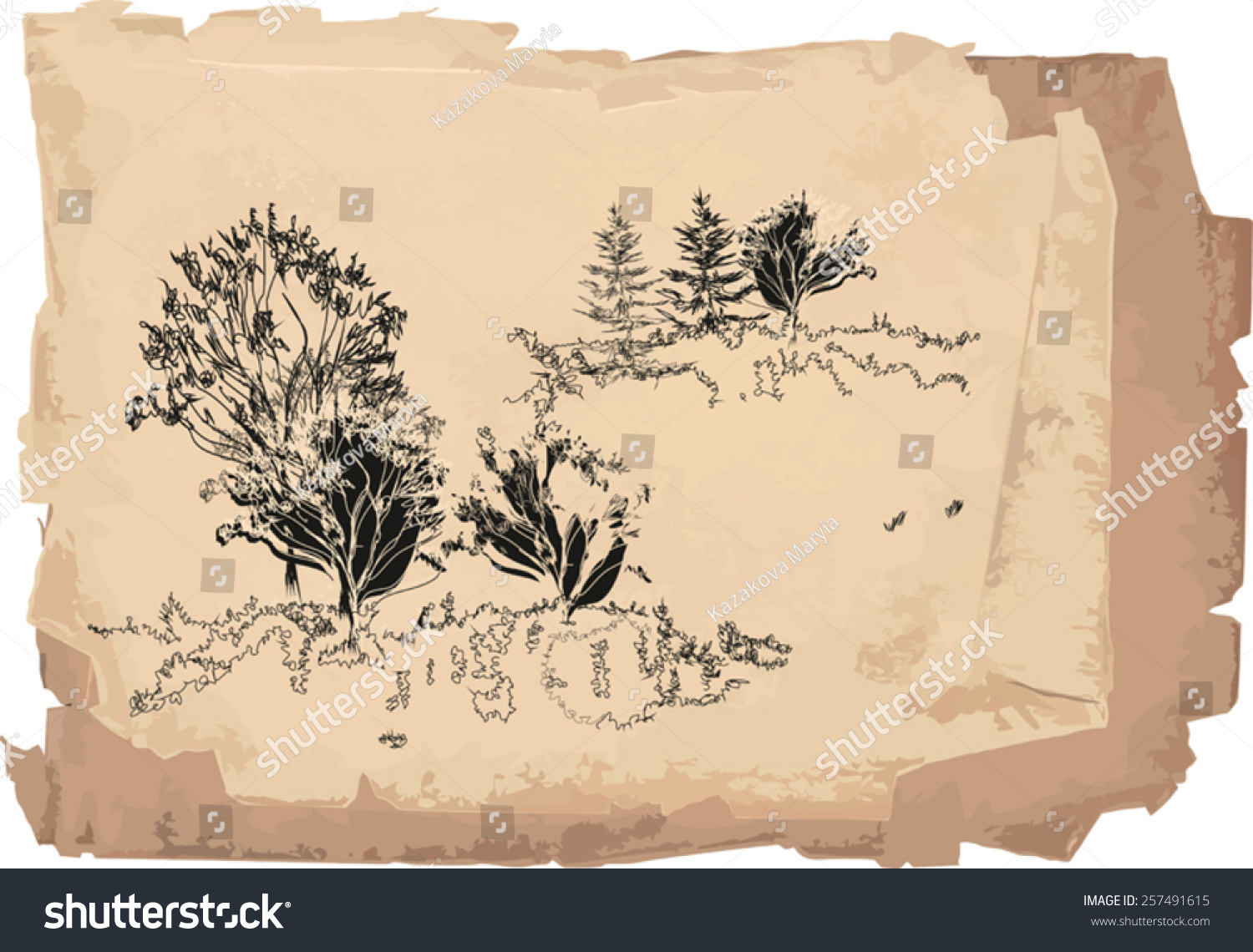 Sketch Of Landscape Stock Vector 257491615 Shutterstock