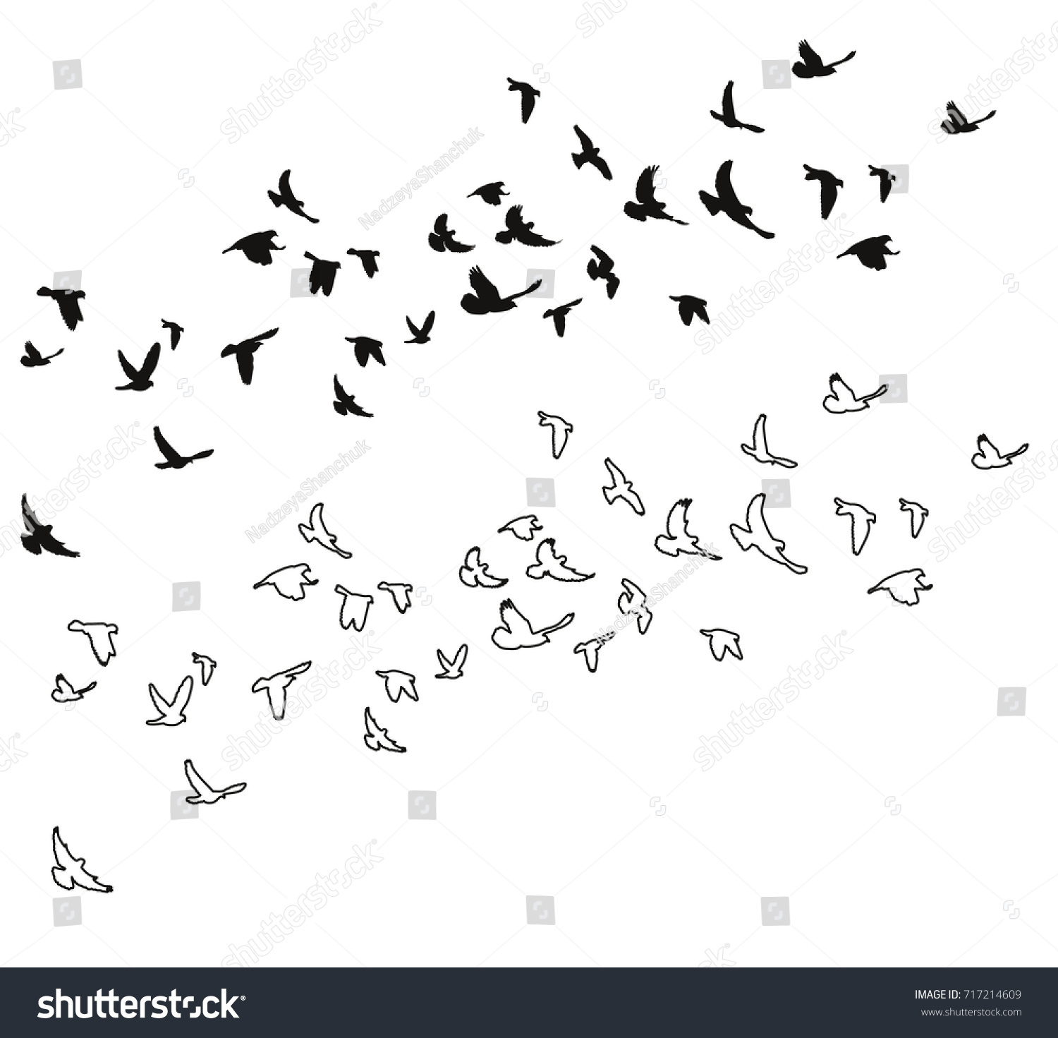 26,440 Bird flying line drawing Images, Stock Photos & Vectors ...