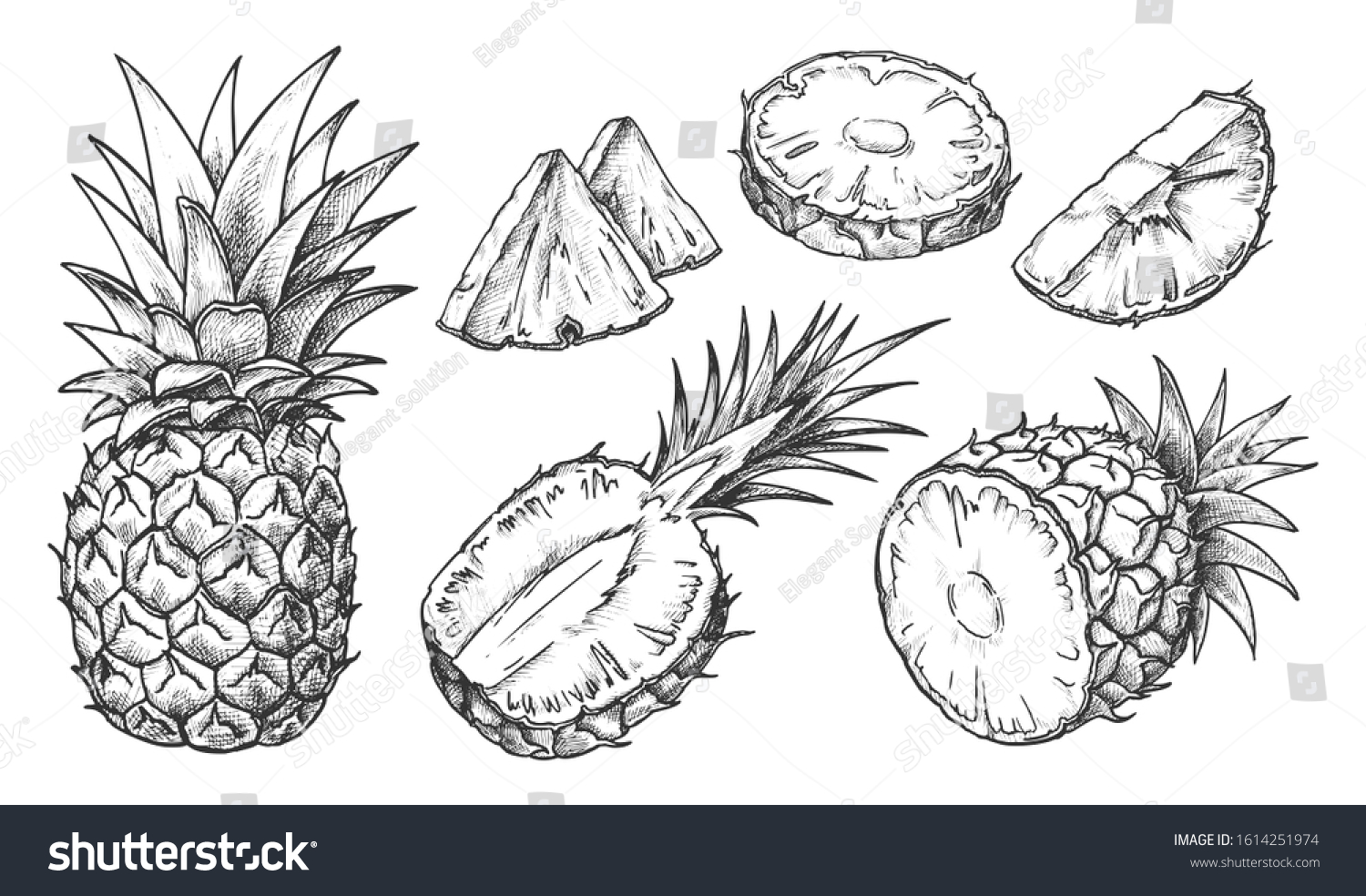 1,459 Half pineapple drawings Images, Stock Photos & Vectors | Shutterstock