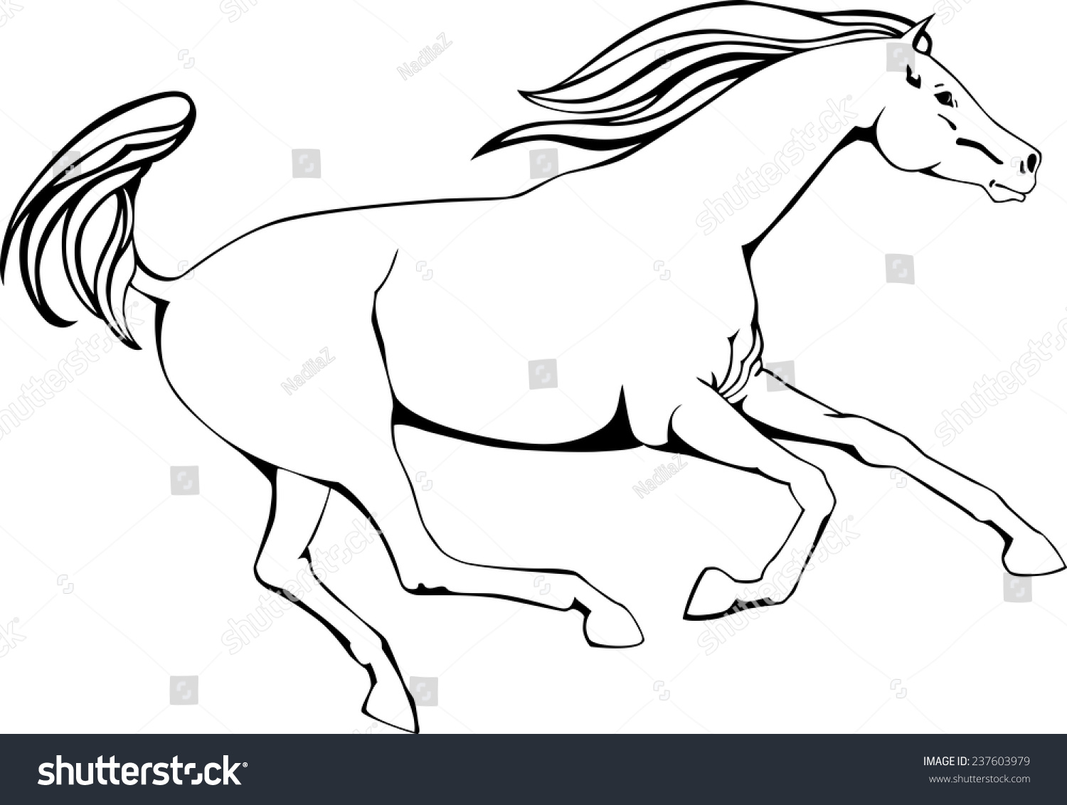 Sketch Running Horse Black White Outline Stock Vector (Royalty Free