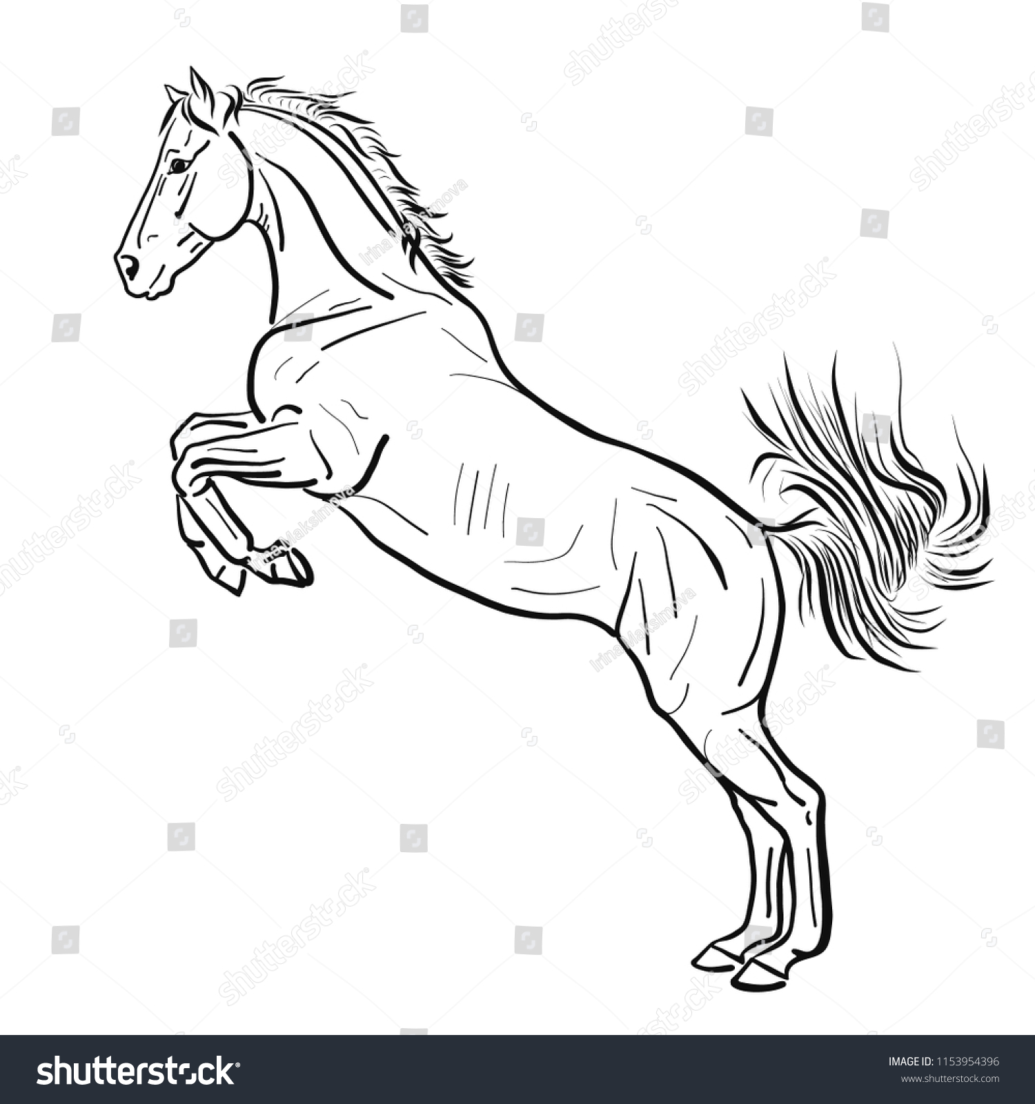 Sketch Horse Standing On Hind Legs Stock Vector (Royalty Free) 1153954396