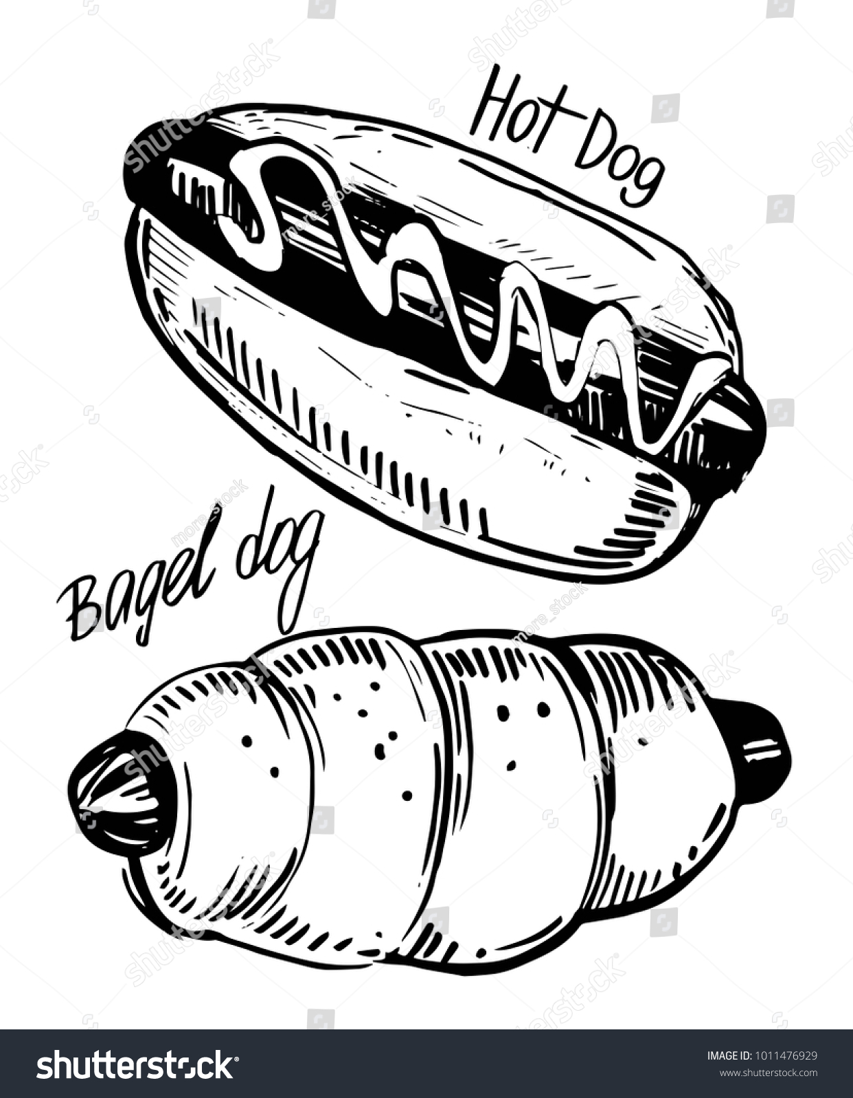 Sketch Hot Dog Hand Drawn Illustration Stock Vector (Royalty Free ...