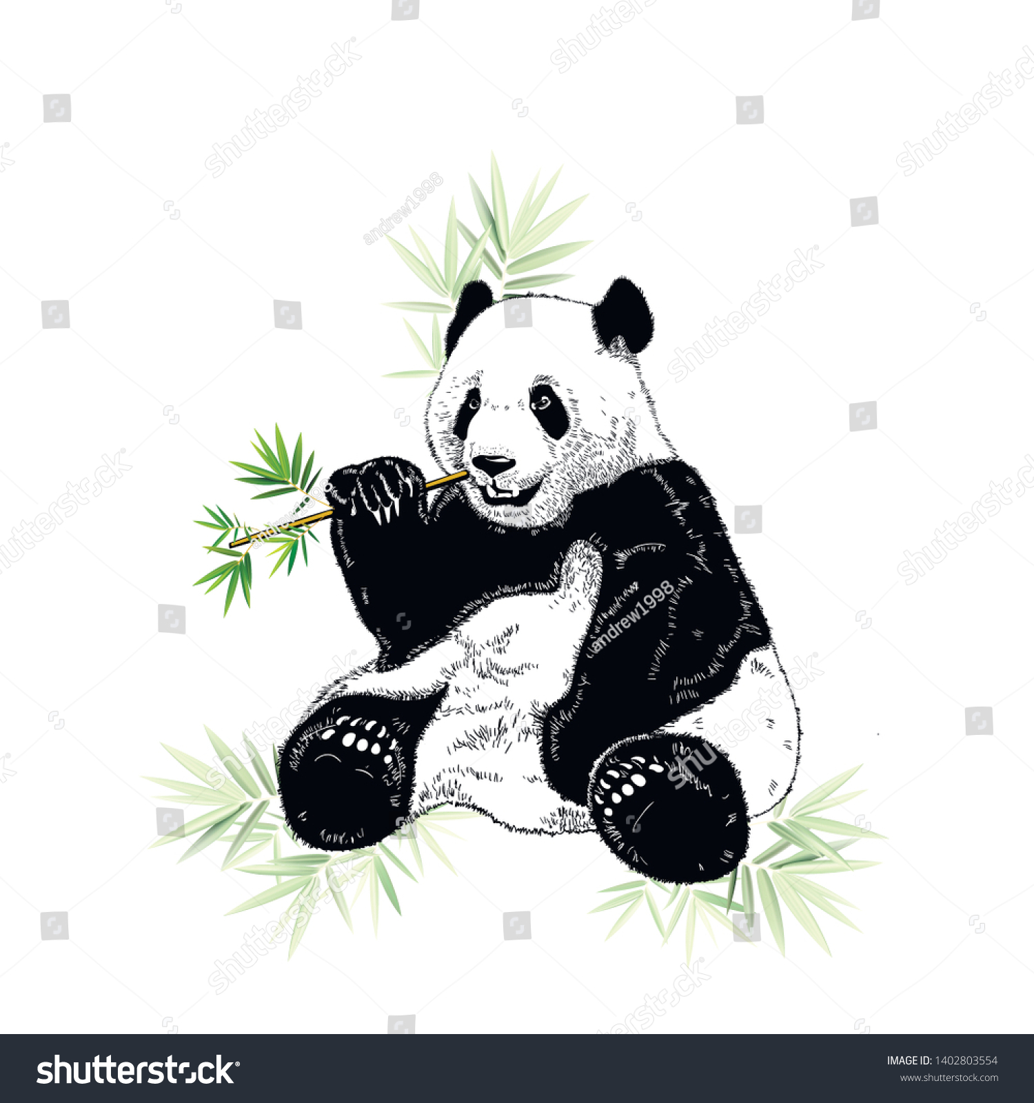 Sketch Panda Bamboo Engrave Ink Draw: เวกเตอร์สต็อก (ปลอดค่าลิขสิทธิ์