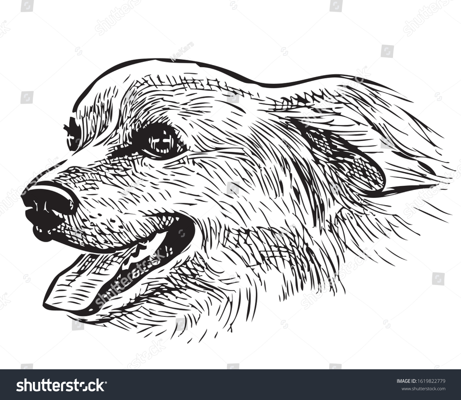 Sketch Portrait Longhair Cute Dachshund Stock Vector (Royalty Free ...