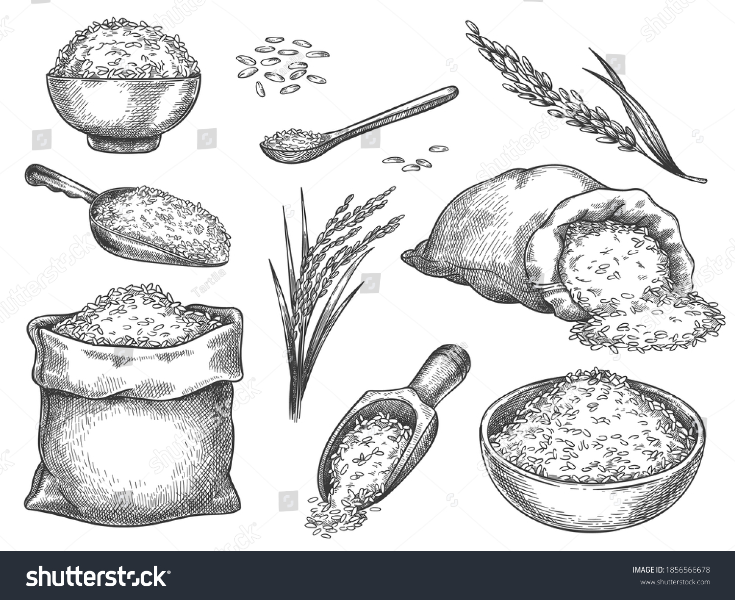 1,737 Basmati Rice Illustration Images, Stock Photos & Vectors ...