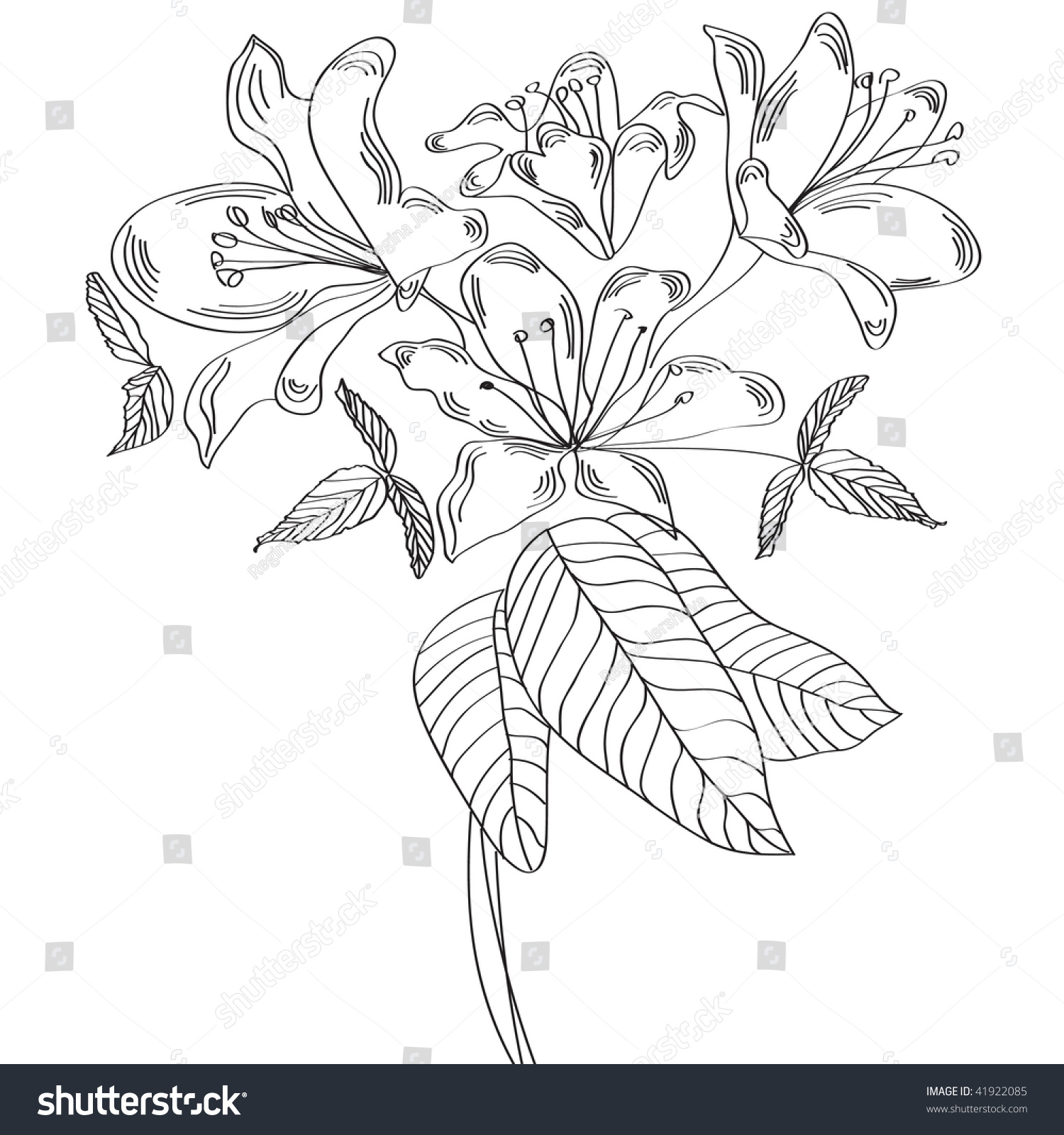 Sketch With Flowers (Black And White) Stock Vector Illustration ...