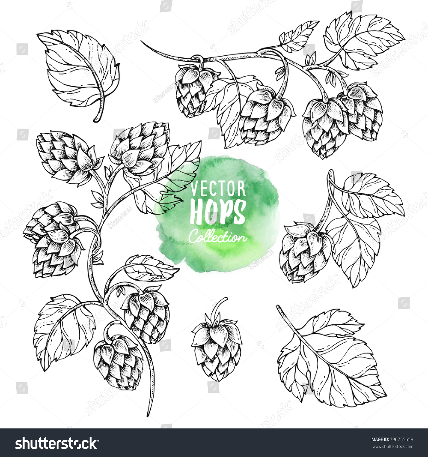 16,781 Hop sketch Images, Stock Photos & Vectors | Shutterstock