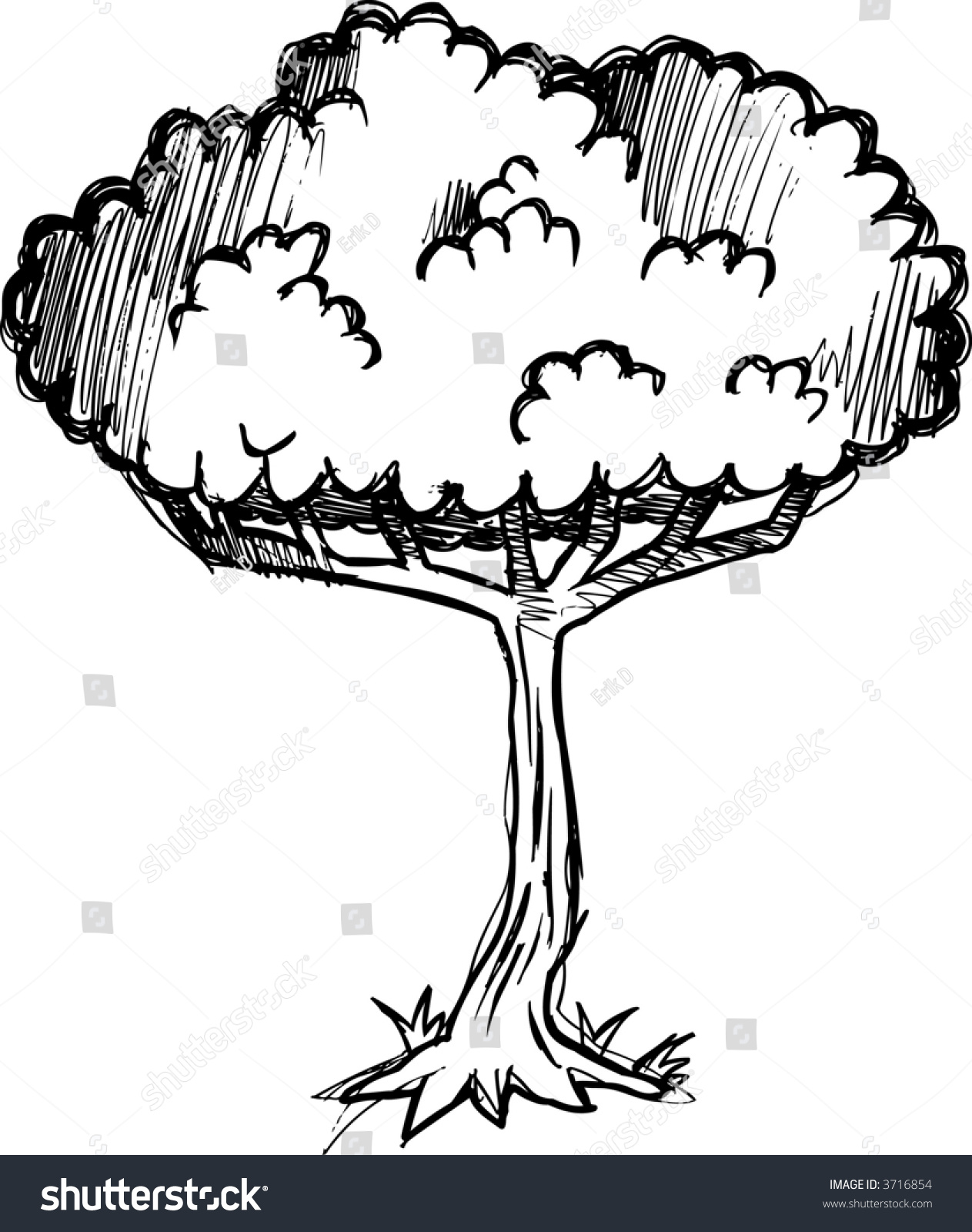 Sketchy Tree Vector Illustration - 3716854 : Shutterstock