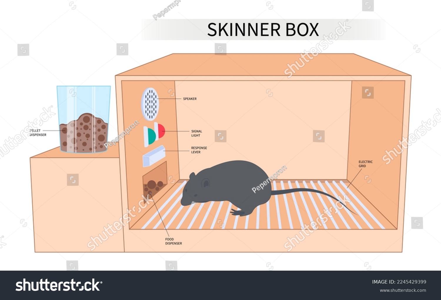SVG of Skinner box manipulate for animal behaviour educational law of effect experimental scientist svg