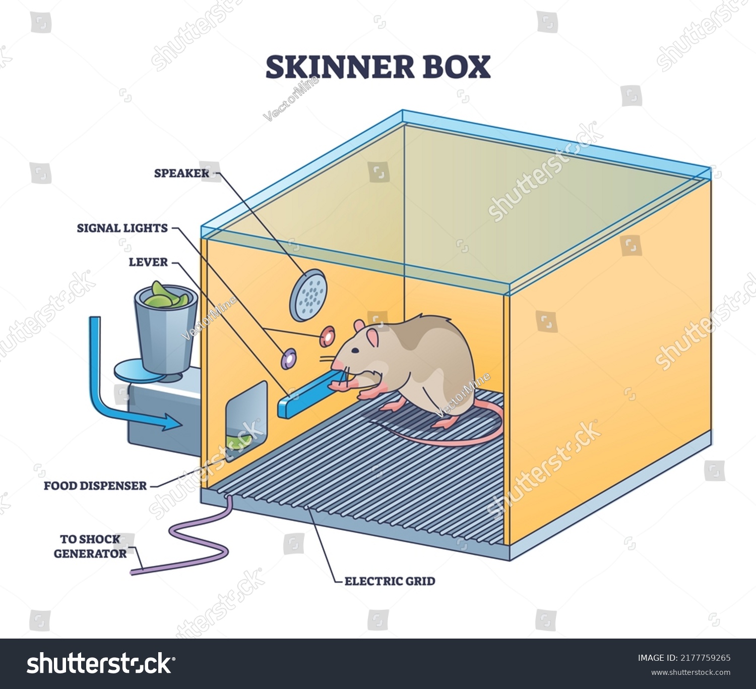 SVG of Skinner box or operant conditioning chamber experiment outline diagram. Labeled educational laboratory apparatus structure for mouse or rat experiment to understand animal behavior vector illustration svg