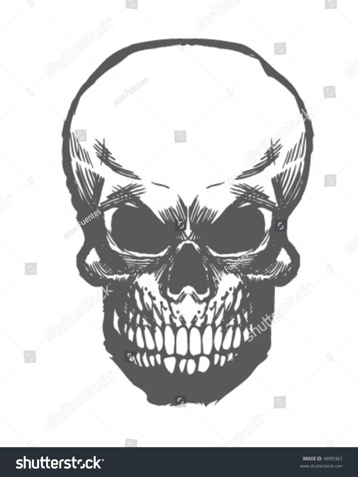 Skull Stock Vector Illustration 4899361 : Shutterstock