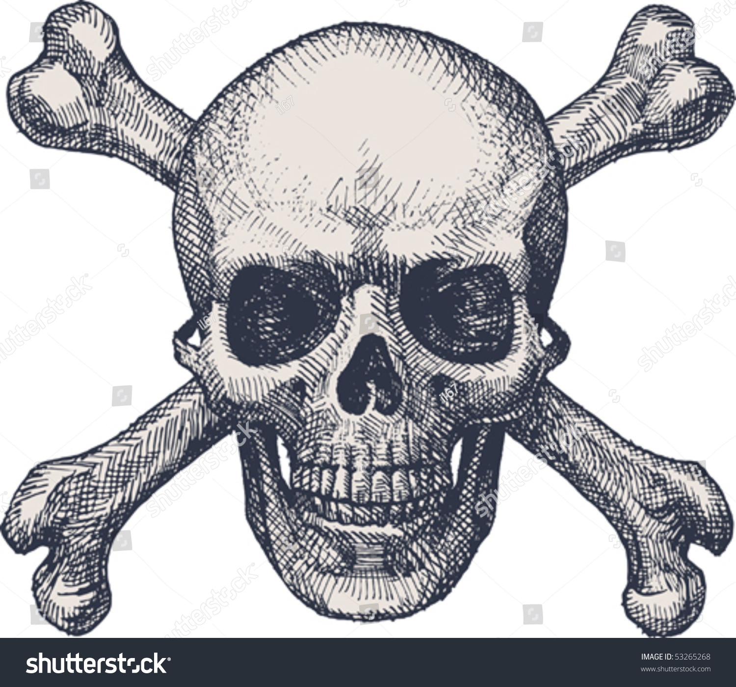 Skull Bones Stock Vector 53265268 - Shutterstock