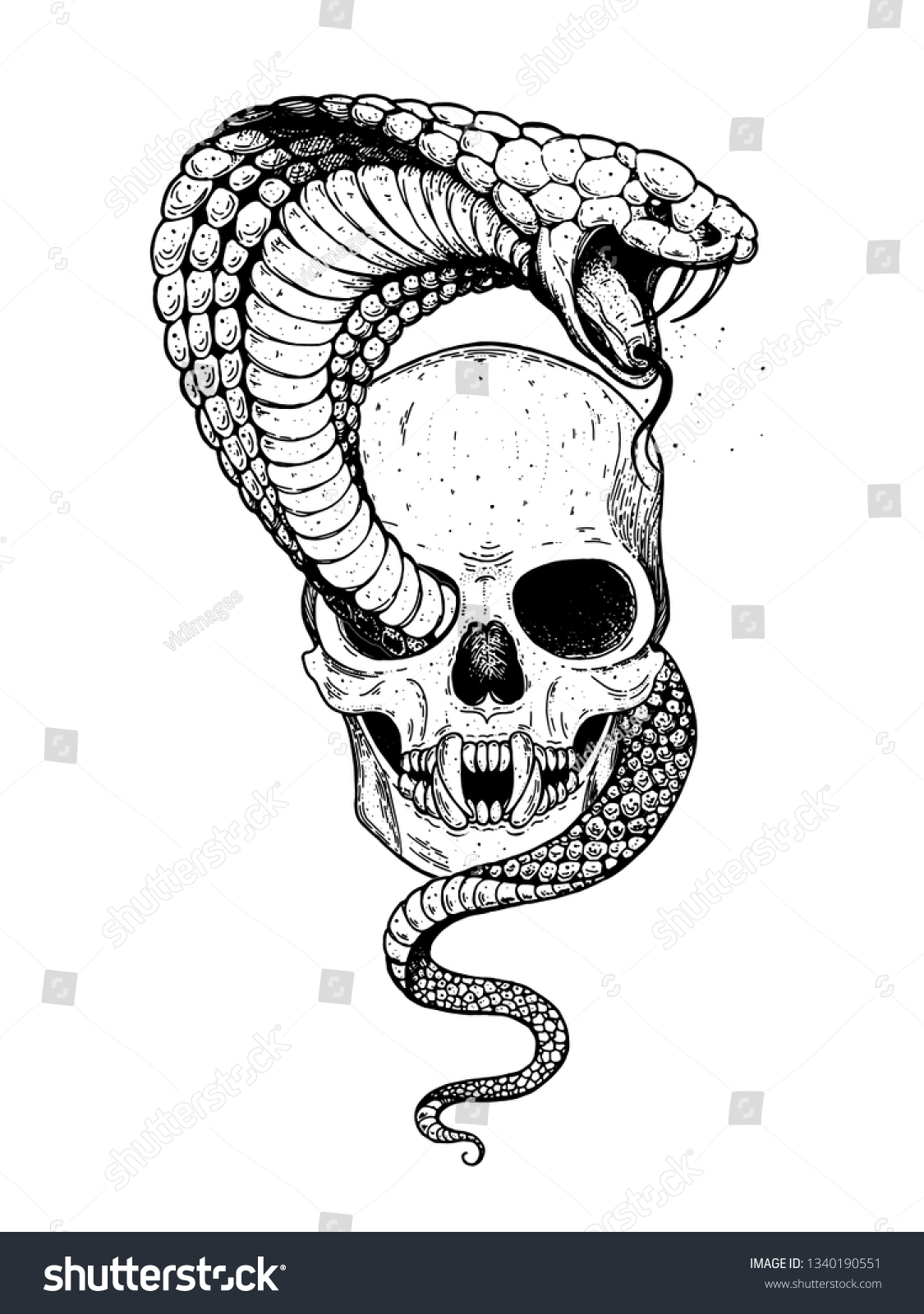 Skull Cobra Snake Hand Drawn Illustration Stock Vector (Royalty Free ...