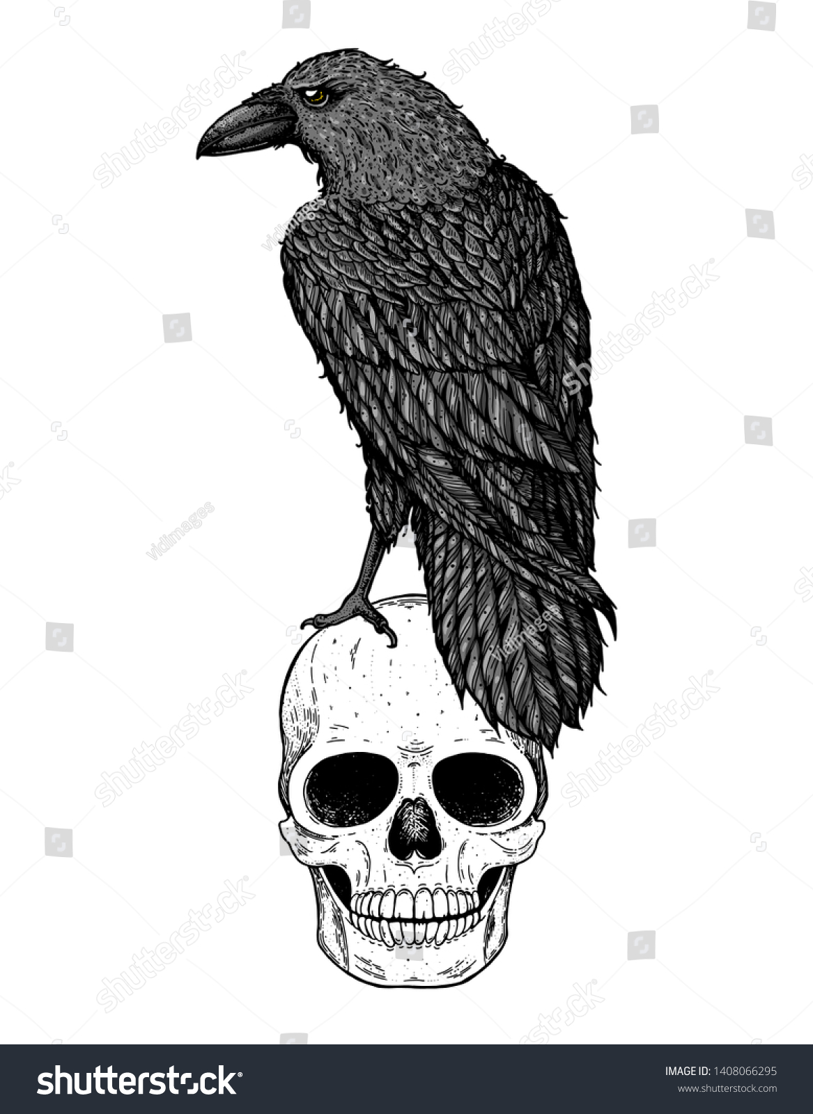 Skull Raven Hand Drawn Illustration Tattoo Stock Vector (Royalty Free ...