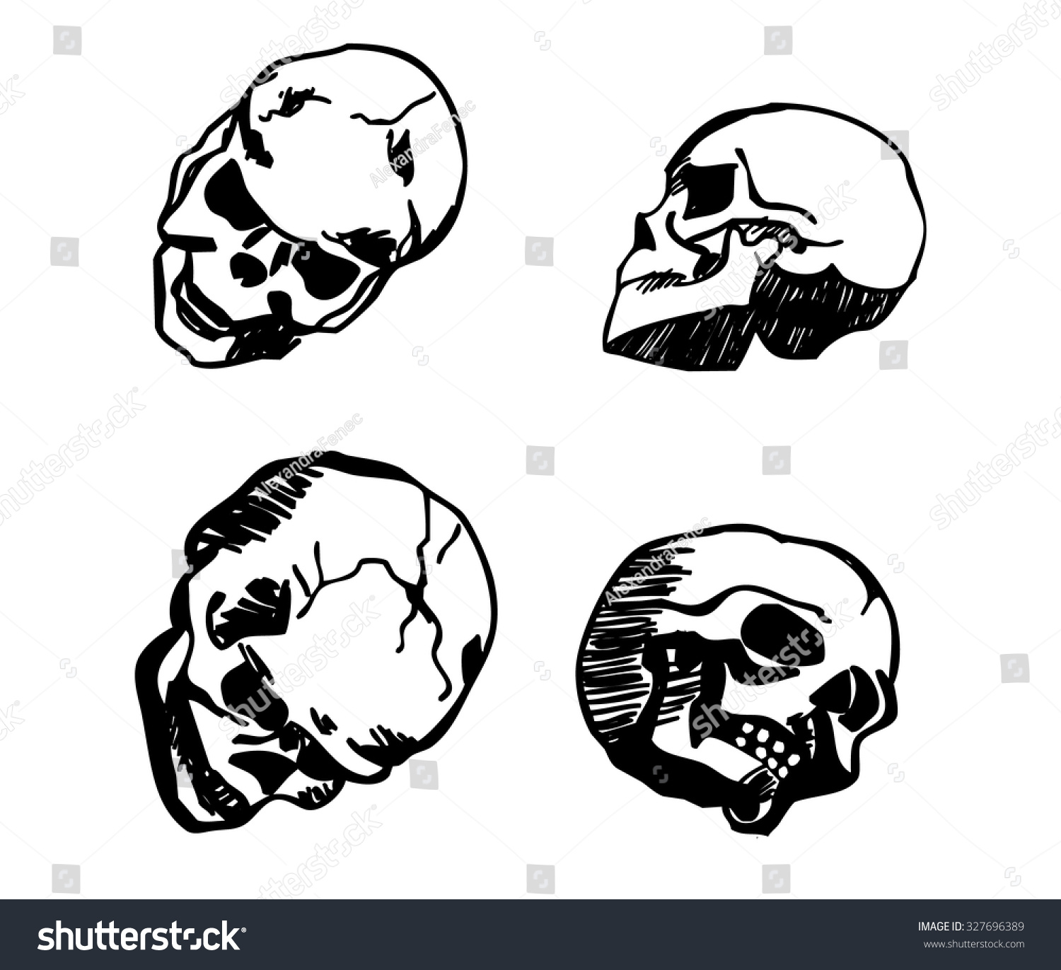 Skull Different Positions Drawing Black Isolated Stock Vector (Royalty ...