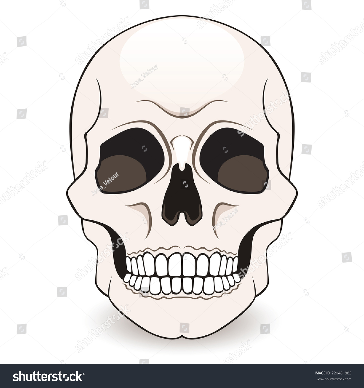 Skull Isolated On White Background Vector Stock Vector 220461883 ...