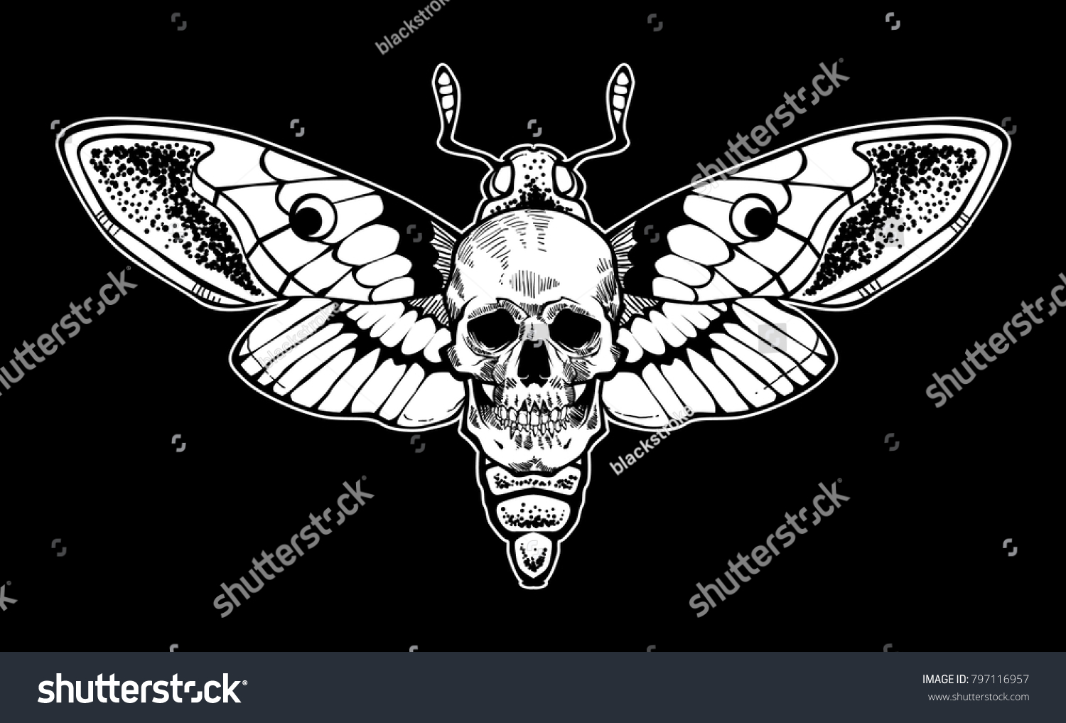 Skull Moth Vector File Stock Vector (Royalty Free) 797116957