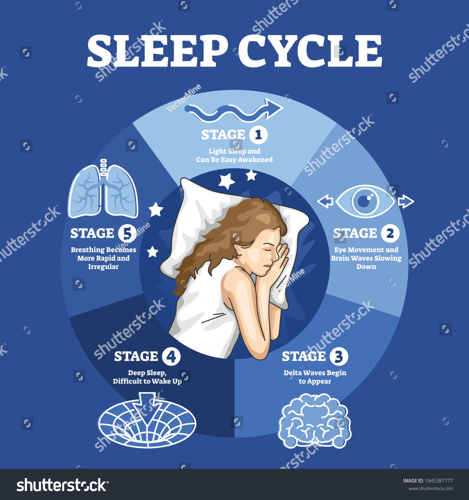 Cycle De Sommeil Avec Schéma De Image Vectorielle De Stock Libre De