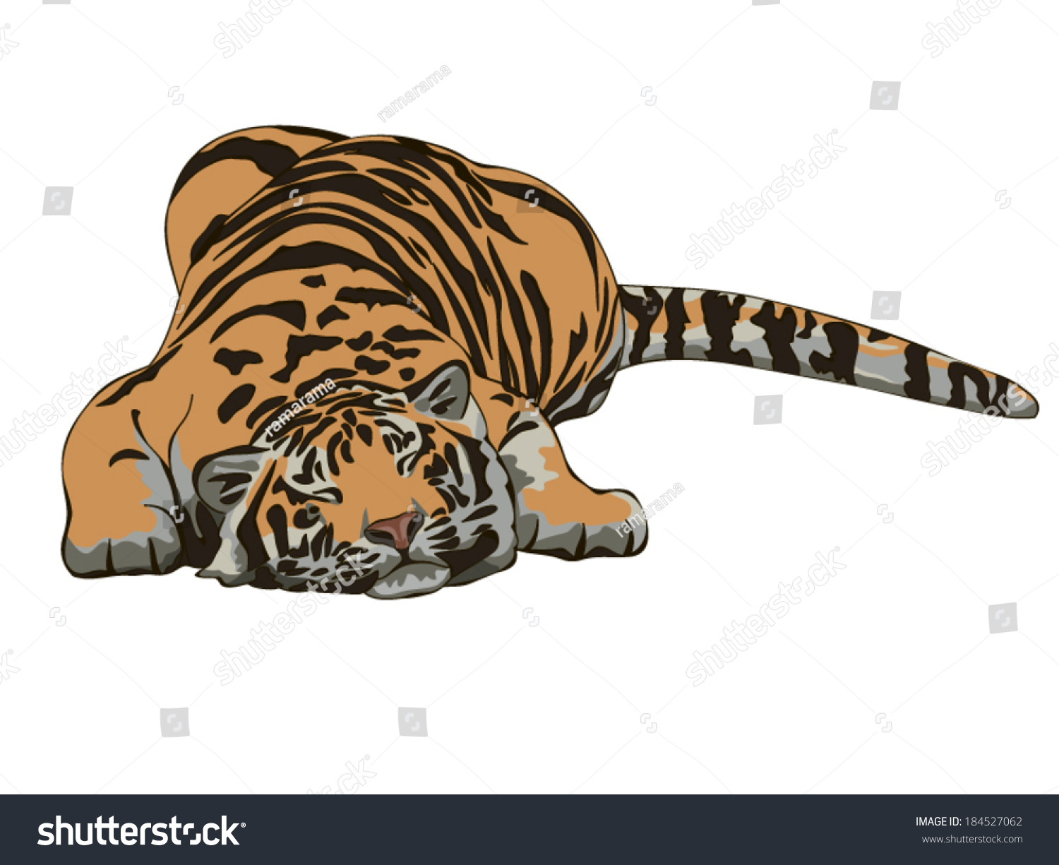 Sleeping Tiger Drawing Stock Vector Royalty Free 184527062