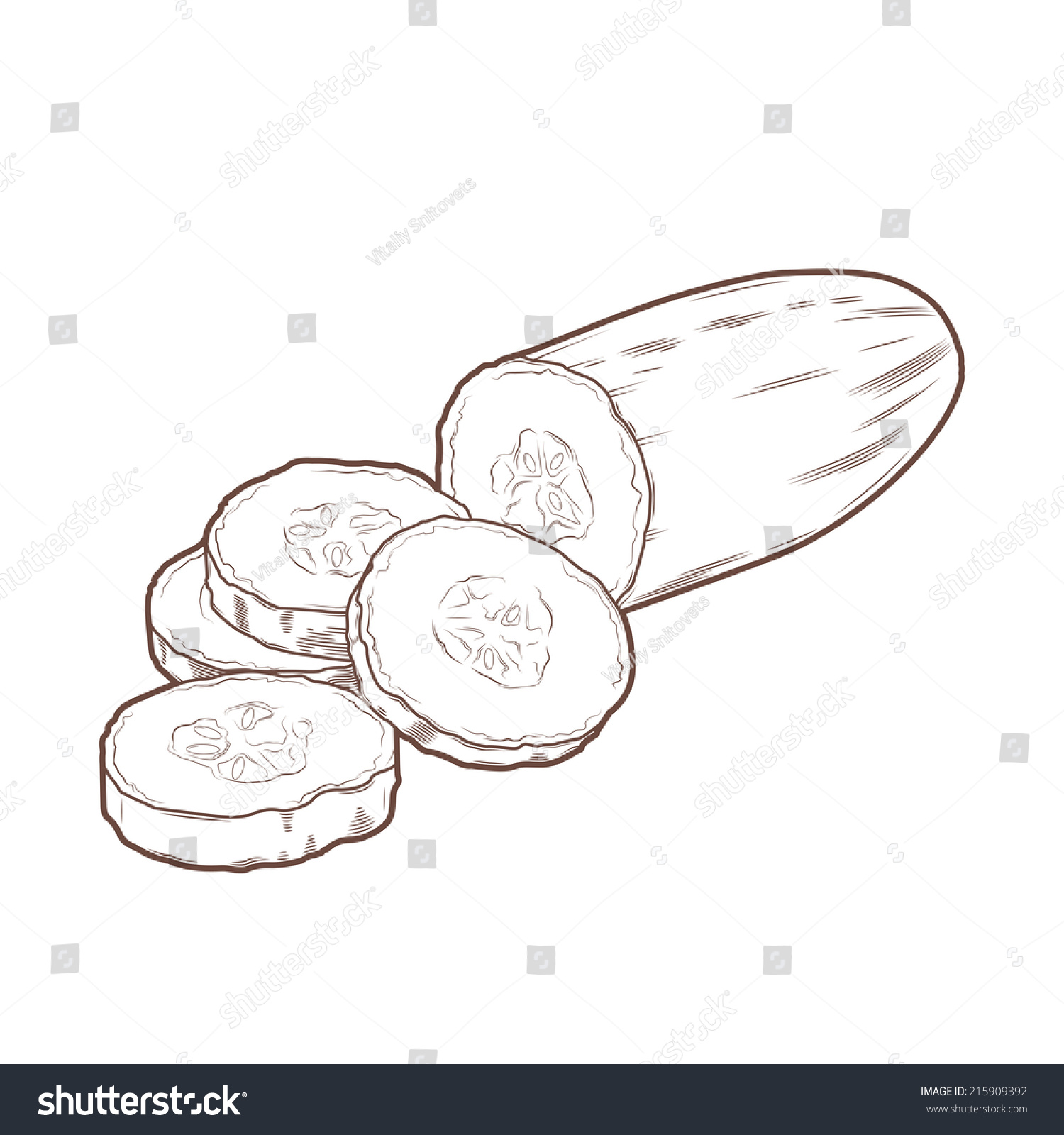 Sliced Cucumber Isolated On White Background Stock Vector (Royalty Free ...