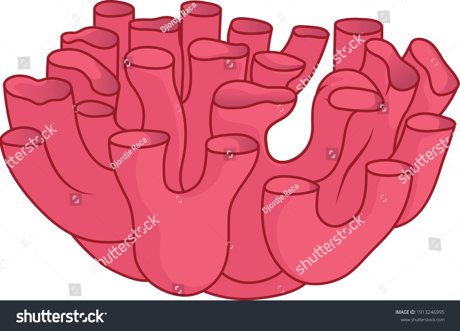 Smooth Endoplasmic Reticulum Medical Illustration Stock Vector Royalty Free 1913246995