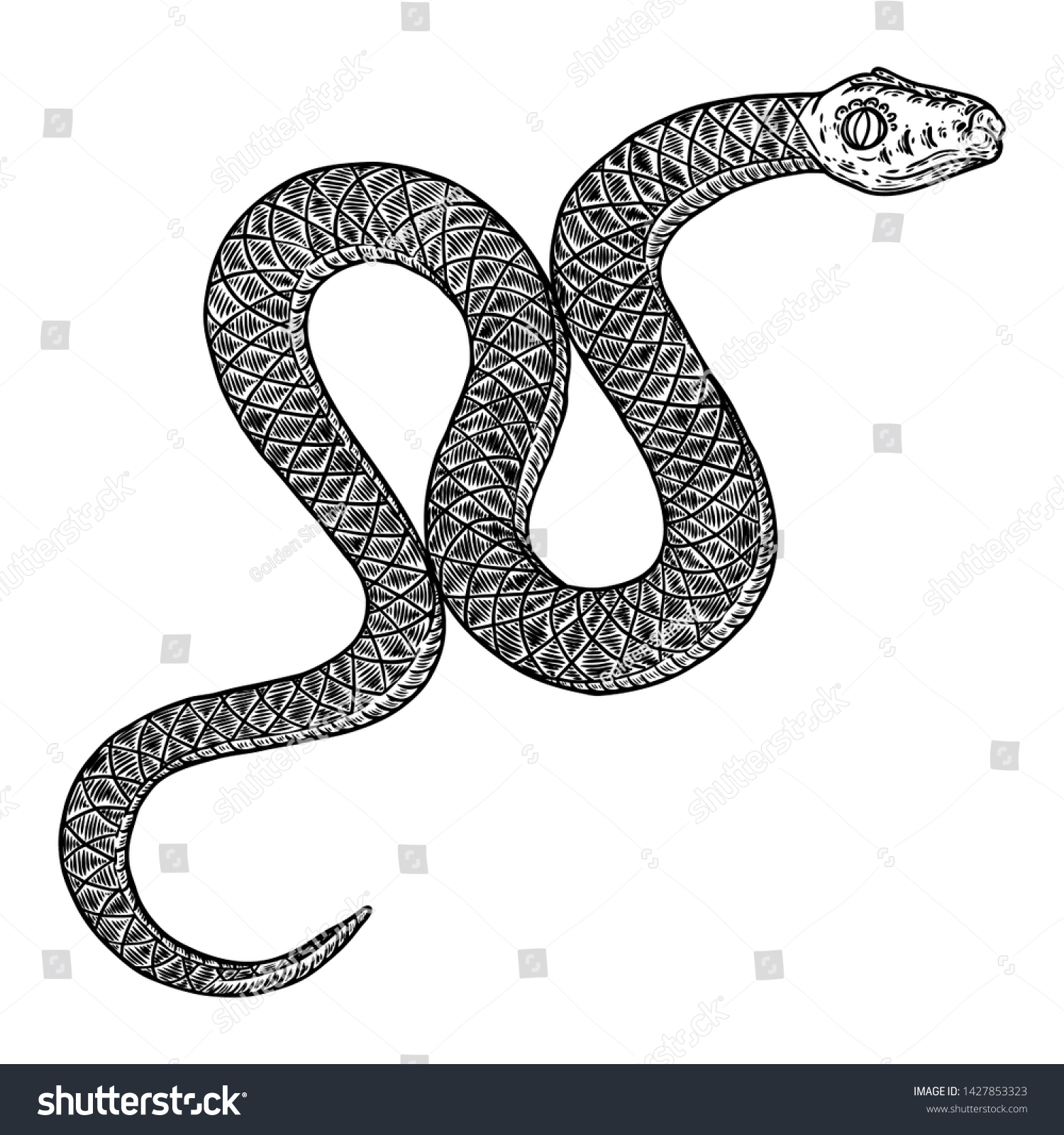 Snake Drawing Illustration Black Serpent Isolated Stock Vector (Royalty ...